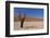 Dry Trees in Namib Desert-DR_Flash-Framed Photographic Print