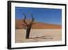 Dry Trees in Namib Desert-DR_Flash-Framed Photographic Print