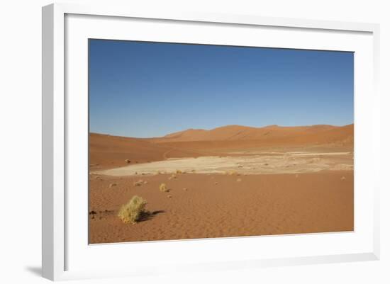 Dry Trees in Namib Desert-DR_Flash-Framed Photographic Print