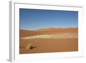 Dry Trees in Namib Desert-DR_Flash-Framed Photographic Print