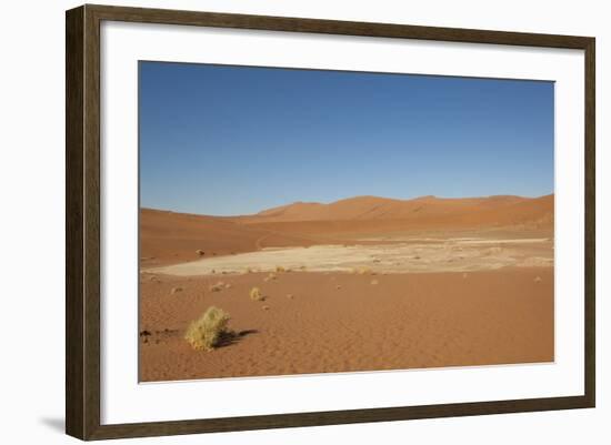 Dry Trees in Namib Desert-DR_Flash-Framed Photographic Print