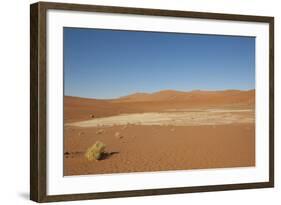 Dry Trees in Namib Desert-DR_Flash-Framed Photographic Print