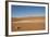 Dry Trees in Namib Desert-DR_Flash-Framed Photographic Print