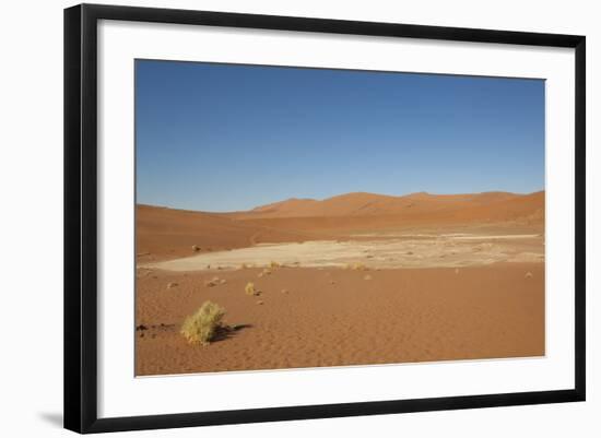 Dry Trees in Namib Desert-DR_Flash-Framed Photographic Print