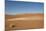 Dry Trees in Namib Desert-DR_Flash-Mounted Photographic Print