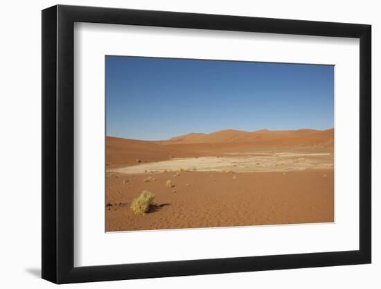 Dry Trees in Namib Desert-DR_Flash-Framed Photographic Print