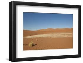 Dry Trees in Namib Desert-DR_Flash-Framed Photographic Print