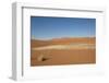 Dry Trees in Namib Desert-DR_Flash-Framed Photographic Print