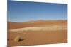 Dry Trees in Namib Desert-DR_Flash-Mounted Photographic Print