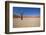 Dry Trees in Namib Desert-DR_Flash-Framed Photographic Print