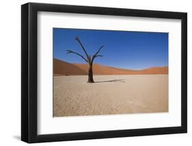 Dry Trees in Namib Desert-DR_Flash-Framed Photographic Print