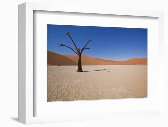 Dry Trees in Namib Desert-DR_Flash-Framed Photographic Print