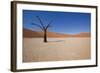 Dry Trees in Namib Desert-DR_Flash-Framed Photographic Print