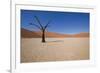 Dry Trees in Namib Desert-DR_Flash-Framed Photographic Print