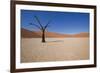 Dry Trees in Namib Desert-DR_Flash-Framed Photographic Print