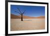 Dry Trees in Namib Desert-DR_Flash-Framed Photographic Print