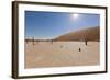 Dry Trees in Namib Desert-DR_Flash-Framed Photographic Print