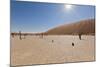 Dry Trees in Namib Desert-DR_Flash-Mounted Photographic Print