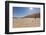 Dry Trees in Namib Desert-DR_Flash-Framed Photographic Print