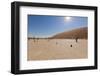 Dry Trees in Namib Desert-DR_Flash-Framed Photographic Print