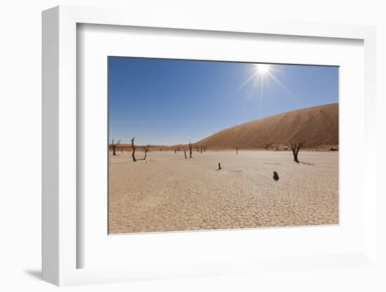 Dry Trees in Namib Desert-DR_Flash-Framed Photographic Print