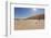 Dry Trees in Namib Desert-DR_Flash-Framed Photographic Print