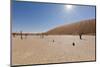 Dry Trees in Namib Desert-DR_Flash-Mounted Photographic Print