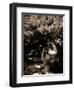 Dryad II-Lydia Marano-Framed Photographic Print