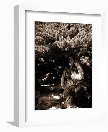 Dryad II-Lydia Marano-Framed Photographic Print