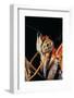 Dryas Julia (Julia Butterfly, the Flame) - Portrait-Paul Starosta-Framed Photographic Print