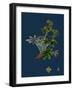 Dryas Octopetala; Mountain Avens-null-Framed Giclee Print