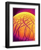 Dryed Drop of Blood-Micro Discovery-Framed Premium Photographic Print