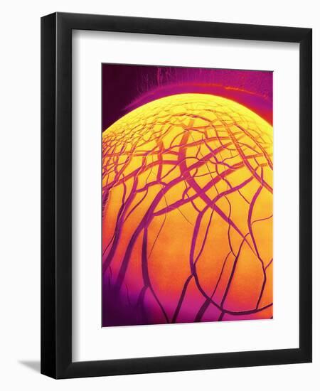 Dryed Drop of Blood-Micro Discovery-Framed Premium Photographic Print