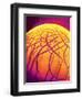 Dryed Drop of Blood-Micro Discovery-Framed Premium Photographic Print