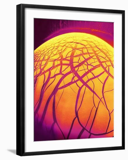 Dryed Drop of Blood-Micro Discovery-Framed Photographic Print