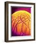 Dryed Drop of Blood-Micro Discovery-Framed Photographic Print