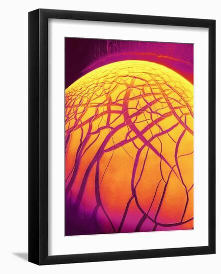 Dryed Drop of Blood-Micro Discovery-Framed Photographic Print