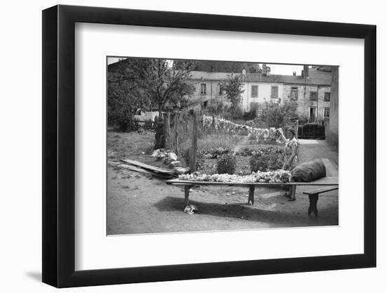 Drying and Sorting Wool-Philip Gendreau-Framed Photographic Print