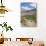 Drying Apricots at Alchi Village-Guido Cozzi-Photographic Print displayed on a wall