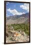 Drying Apricots at Alchi Village-Guido Cozzi-Framed Photographic Print