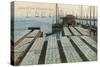 Drying Cod Fish, Provincetown-null-Stretched Canvas