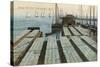 Drying Cod Fish, Provincetown-null-Stretched Canvas