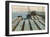 Drying Cod Fish, Provincetown-null-Framed Premium Giclee Print