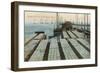 Drying Cod Fish, Provincetown-null-Framed Art Print