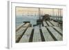 Drying Cod Fish, Provincetown-null-Framed Art Print