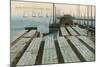 Drying Cod Fish, Provincetown-null-Mounted Art Print