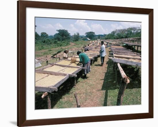 Drying Coffee, Kaffa, Ethiopia, Africa-David Beatty-Framed Photographic Print