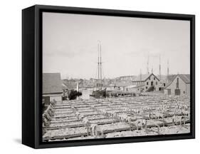 Drying Fish, Gloucester, Mass.-null-Framed Stretched Canvas