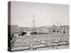 Drying Fish, Gloucester, Mass.-null-Stretched Canvas