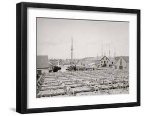 Drying Fish, Gloucester, Mass.-null-Framed Photo